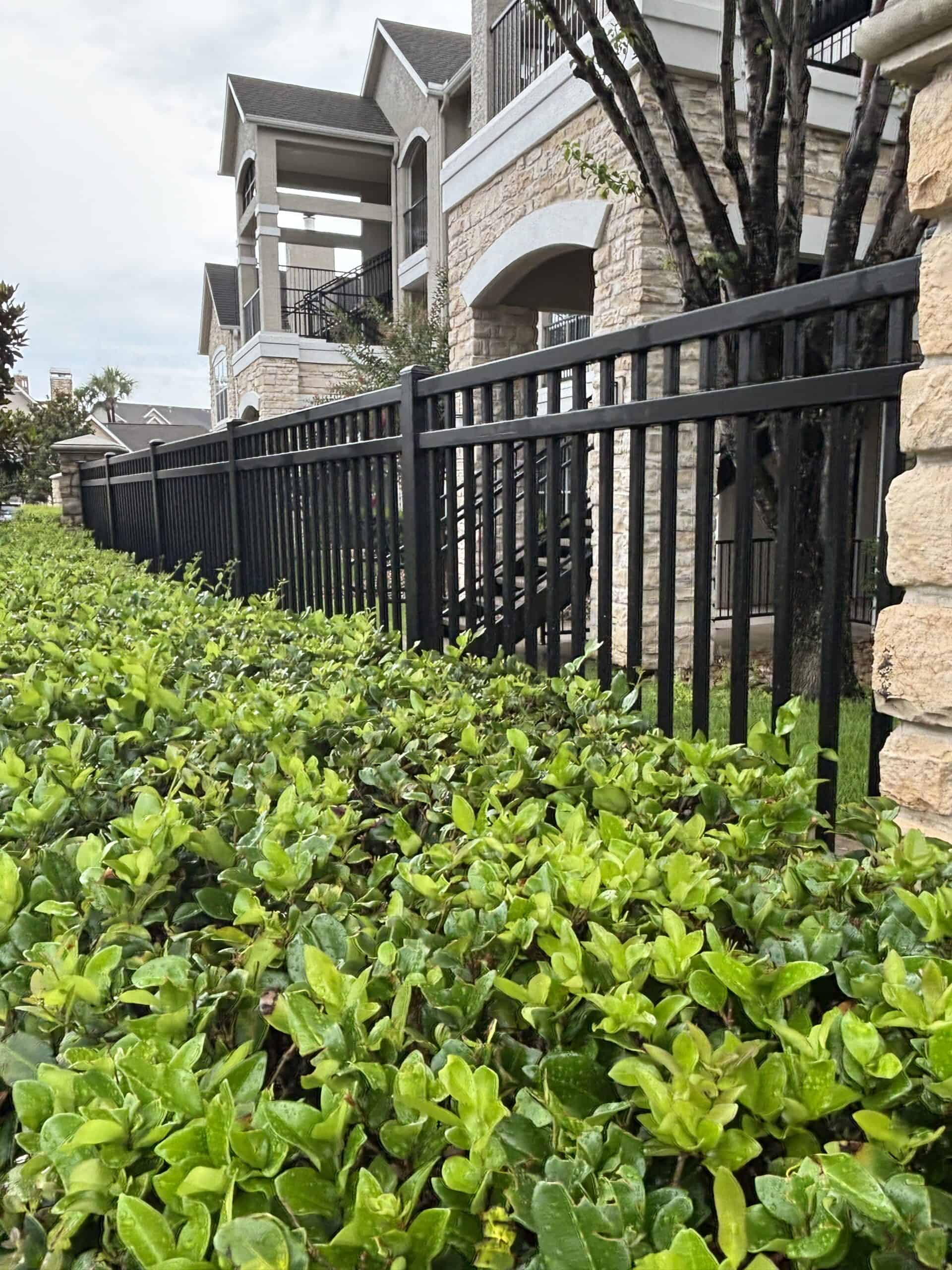 Residential steel security perimeter fence in Austin TX for galvanized steel vs powder coated steel fence comparison